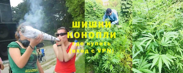 ПСИЛОЦИБИНОВЫЕ ГРИБЫ Артём