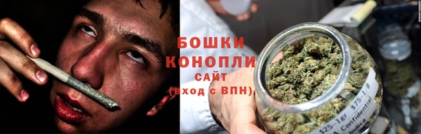 скорость Бердск