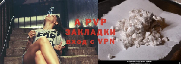 ПСИЛОЦИБИНОВЫЕ ГРИБЫ Артём
