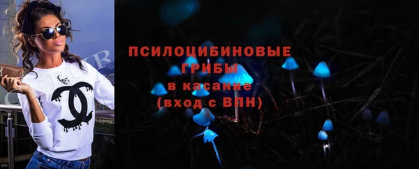 ПСИЛОЦИБИНОВЫЕ ГРИБЫ Артём