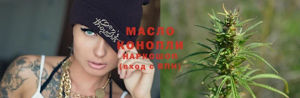 скорость Бердск