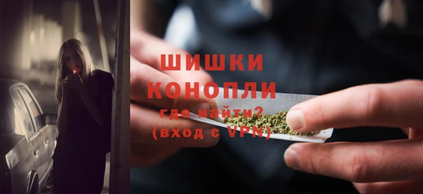 ПСИЛОЦИБИНОВЫЕ ГРИБЫ Артём