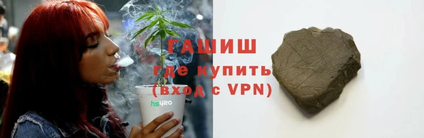 прущие грибы Новый Уренгой
