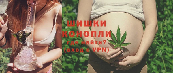скорость Бердск