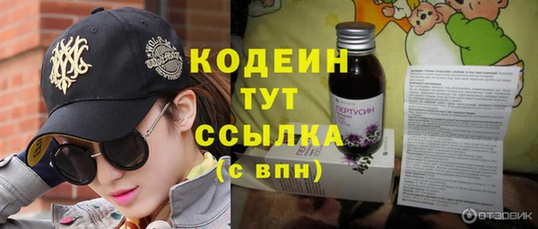 скорость Бердск