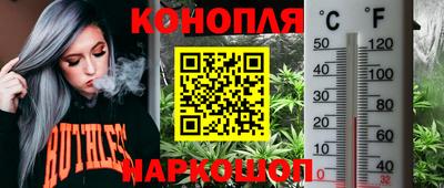 ПСИЛОЦИБИНОВЫЕ ГРИБЫ Будённовск