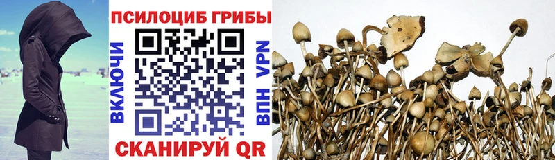 Псилоцибиновые грибы Psilocybine cubensis  что такое   Биробиджан 