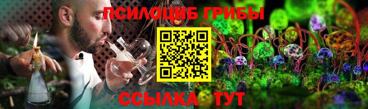 Псилоцибиновые грибы GOLDEN TEACHER Биробиджан